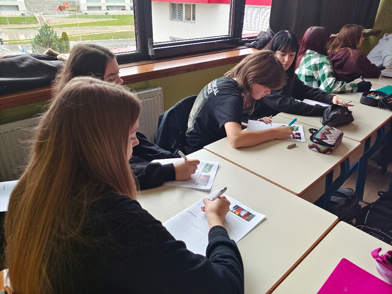 Przebieg projektu "Ponadnarodowa mobilność uczniów" w Słowenii